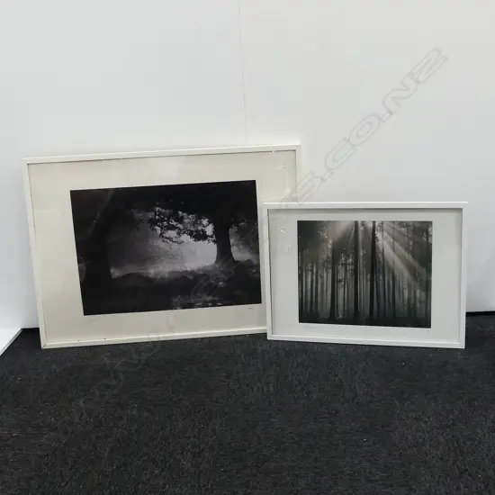 2 LTD EDITION LANDSCAPE PRINTS LARGEST 730X1020MM