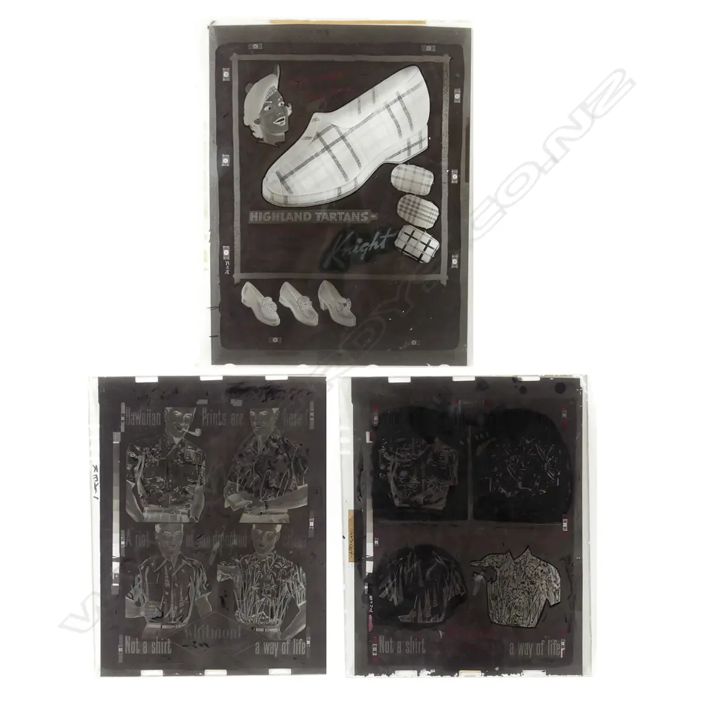 Three large format glass plate negatives Image 1++