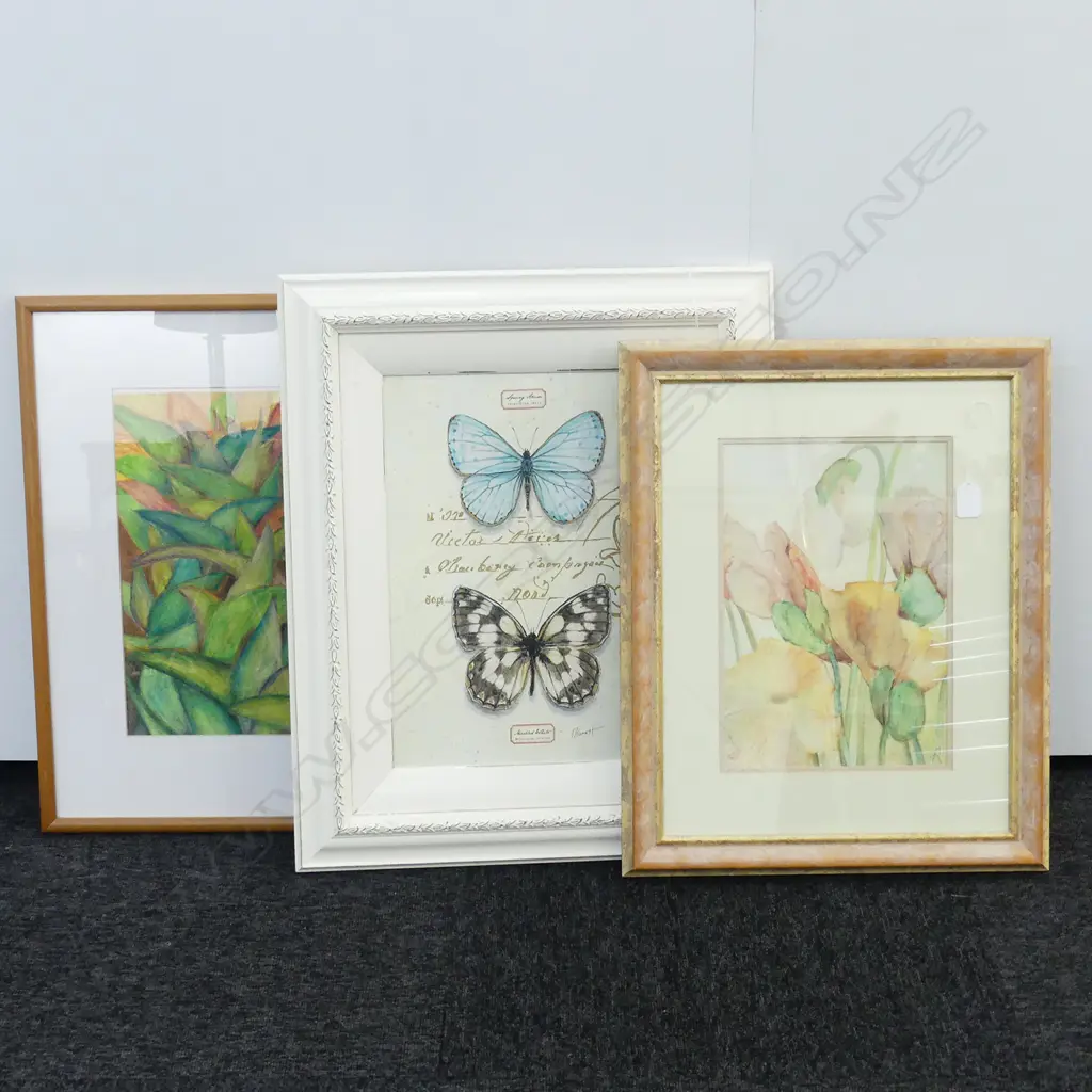 BUTTERFLY PRINT; 2X FRAMED PHOTOGRAPHS Image 1++