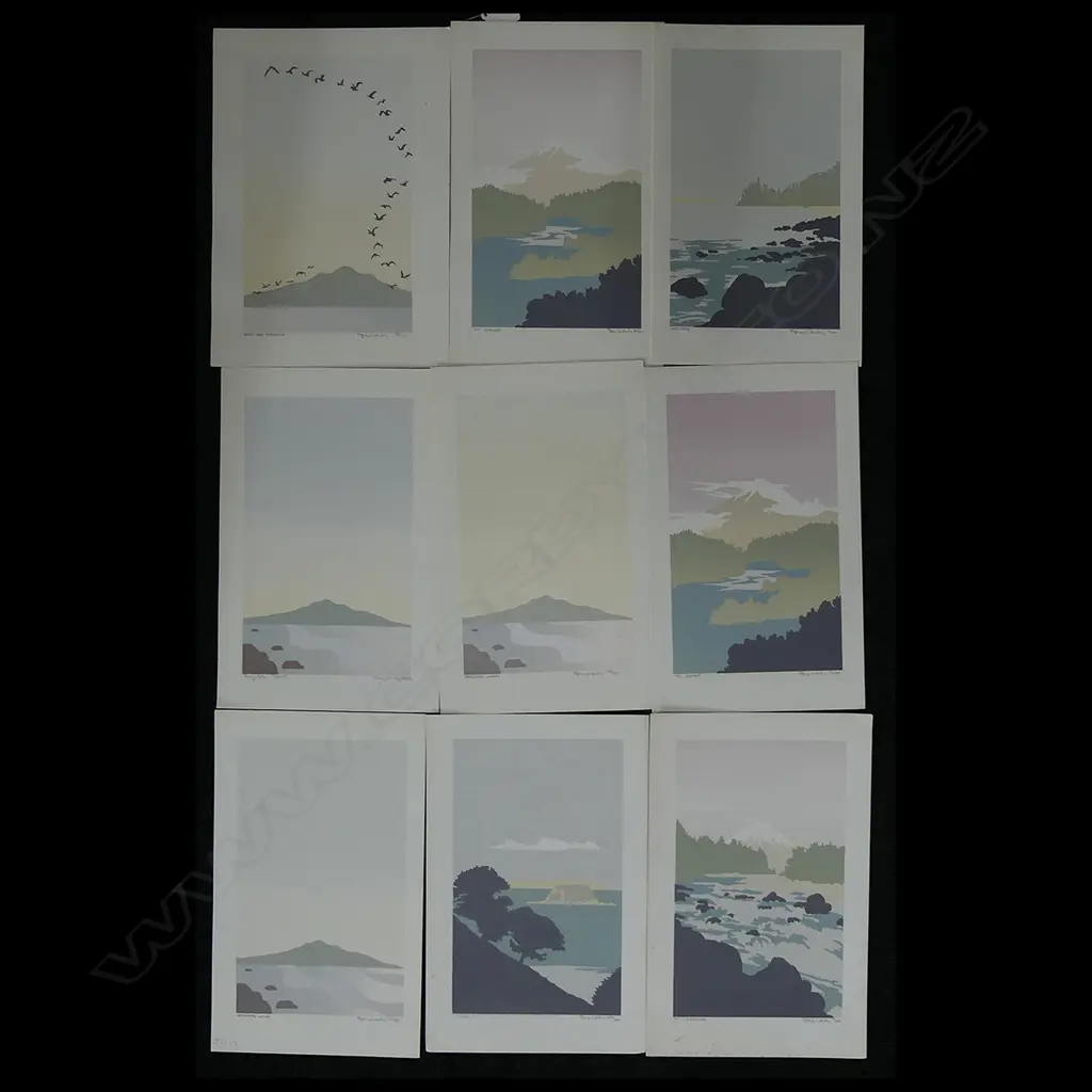 9 SCREENPRINTS BY TONY HEALEY - TAUPO; RANGITOTO; EGMONT (UNFRAMED) 260 X 165mm APPROX Image 1++