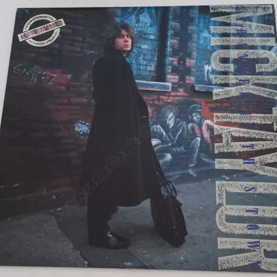 Mick Taylor, Stranger In This Town