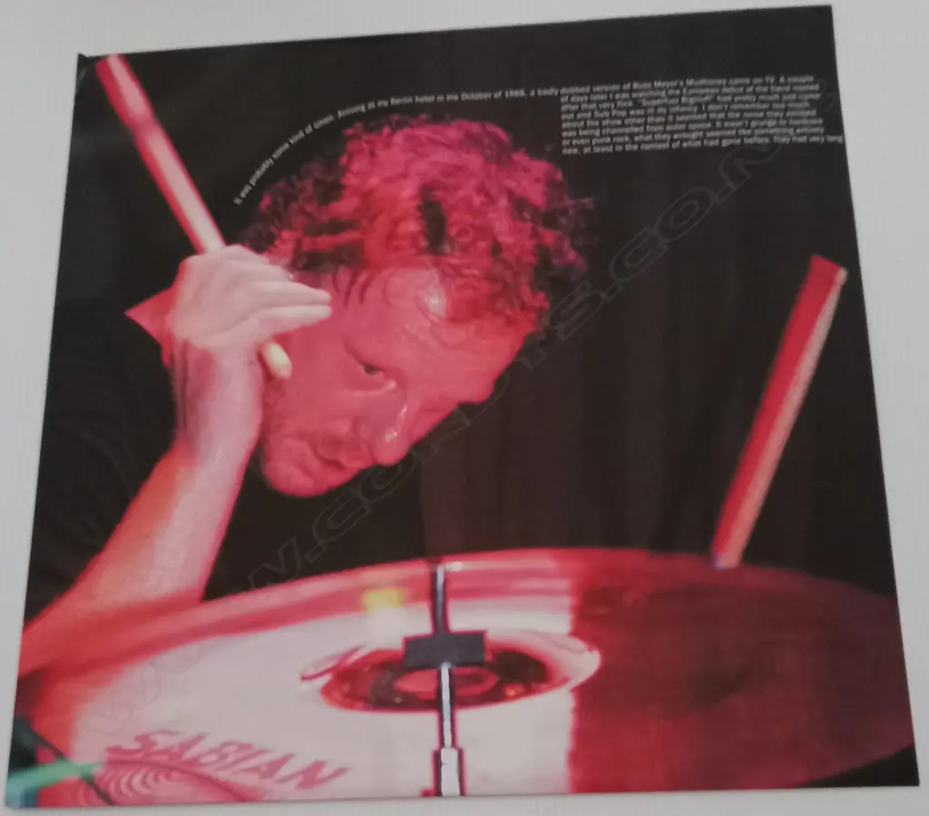 Mudhoney, Live at El Sol Image 1++