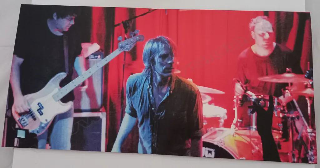 Mudhoney, Live at El Sol Image 1++