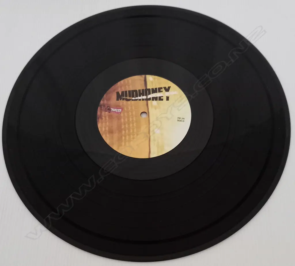 Mudhoney, Live at El Sol Image 1++