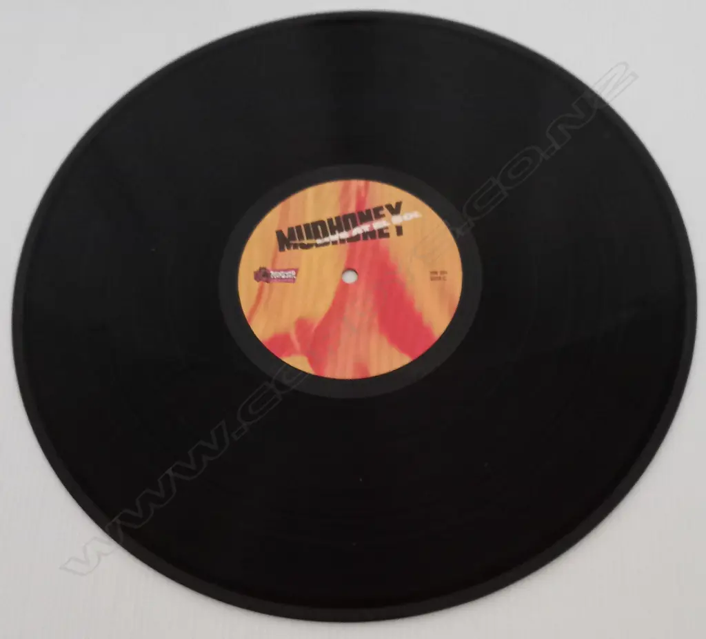 Mudhoney, Live at El Sol Image 1++
