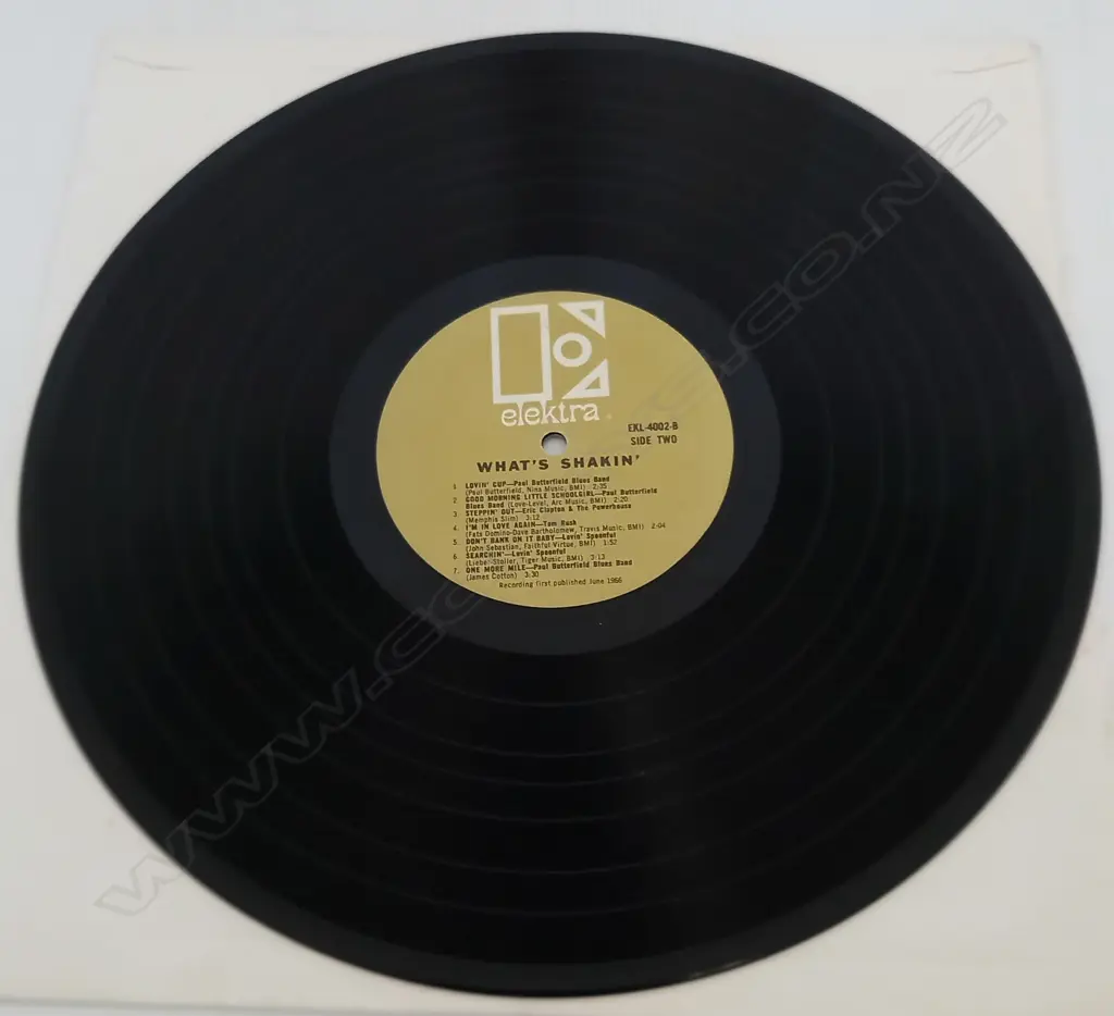 The Lovin Spoonful, What's Shakin Image 1++