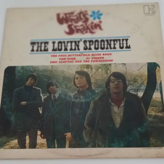 The Lovin Spoonful, What's Shakin