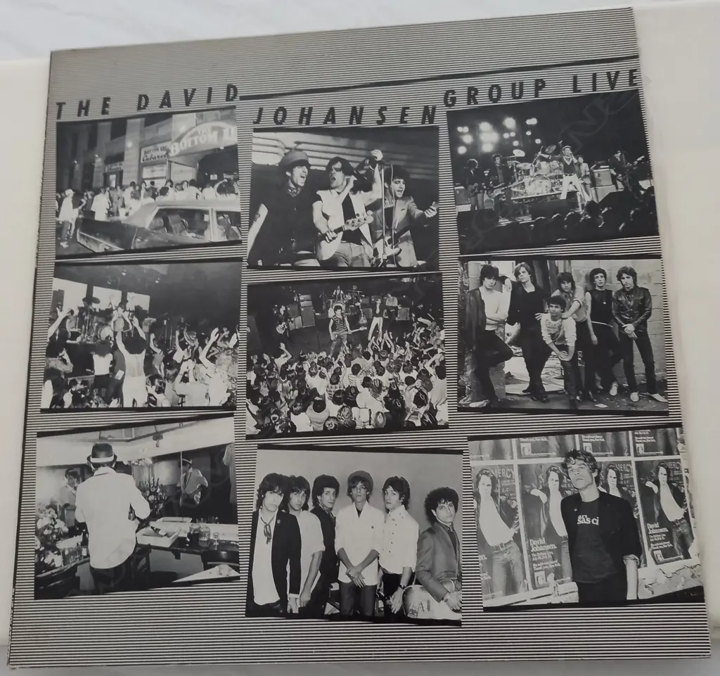 David Johansen Group, The David Johansen Group Live Image 1++