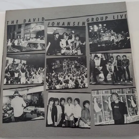 David Johansen Group, The David Johansen Group Live