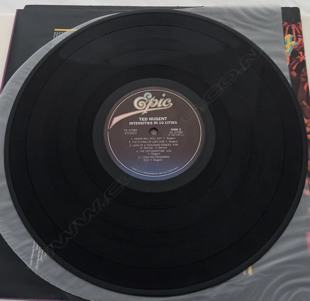 Ted Nugent, Intensities In 10 Cities Image 1++