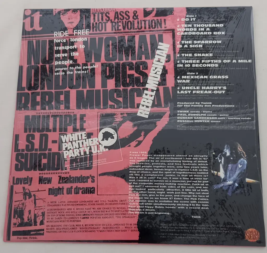 The Pink Fairies, Do It! Image 1++