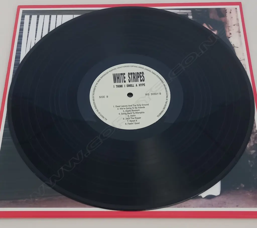 The White Stripes, I Think I Smell A Hype Image 1++