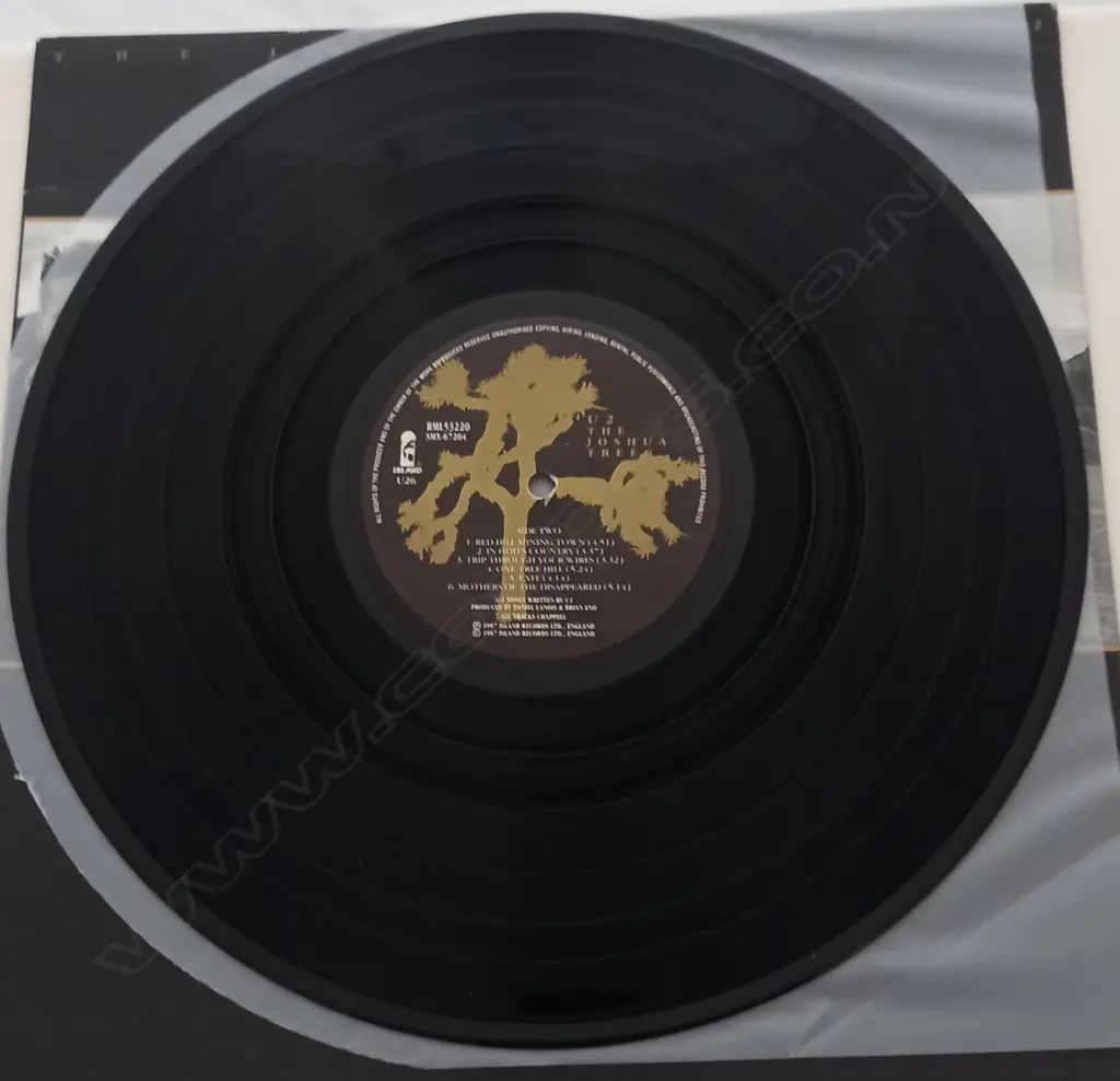U2, The Joshua Tree Image 1++