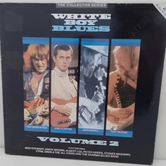 Various, White Boy Blues, Volume 2