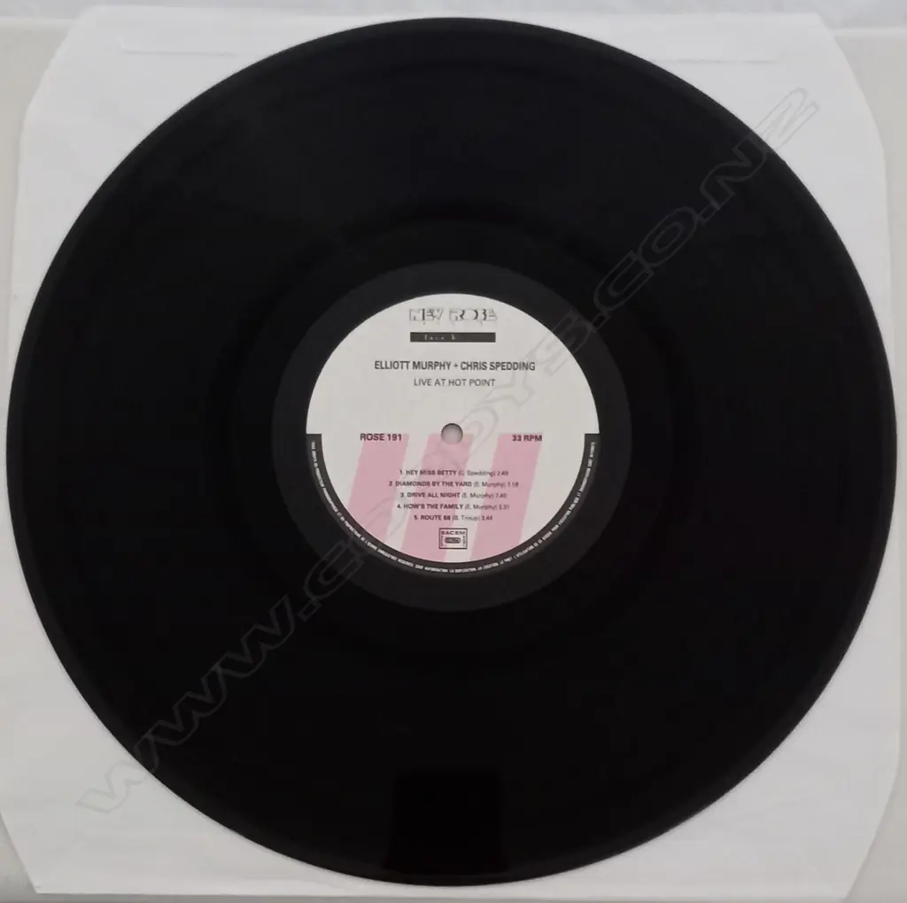 Elliott Murphy Special Guest Chris Spedding, Live - Hot Point Image 1++