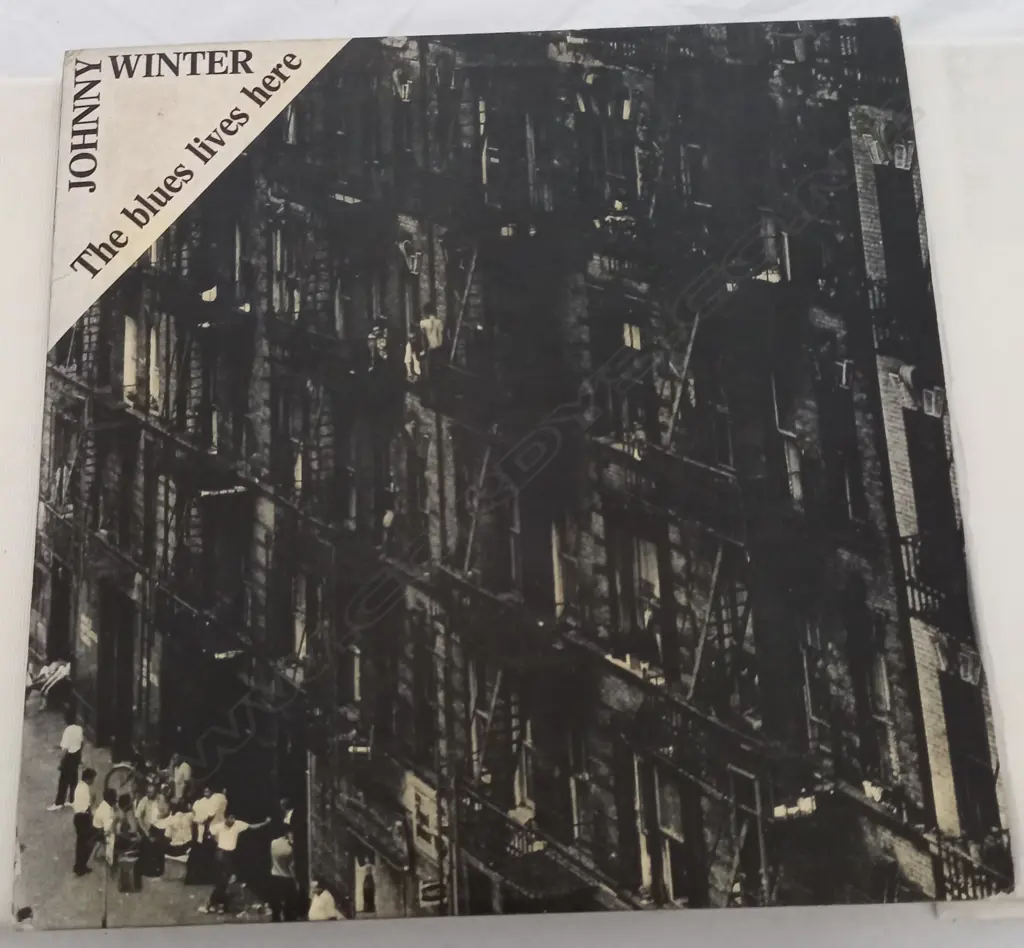 Johnny Winter, The Blues Lives Here Image 1++