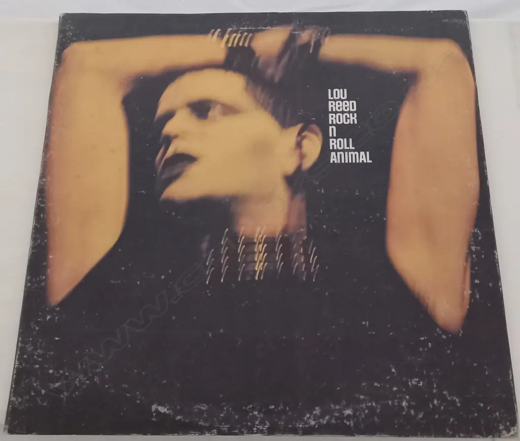 Lou Reed, Rock N Roll Animal Image 1++