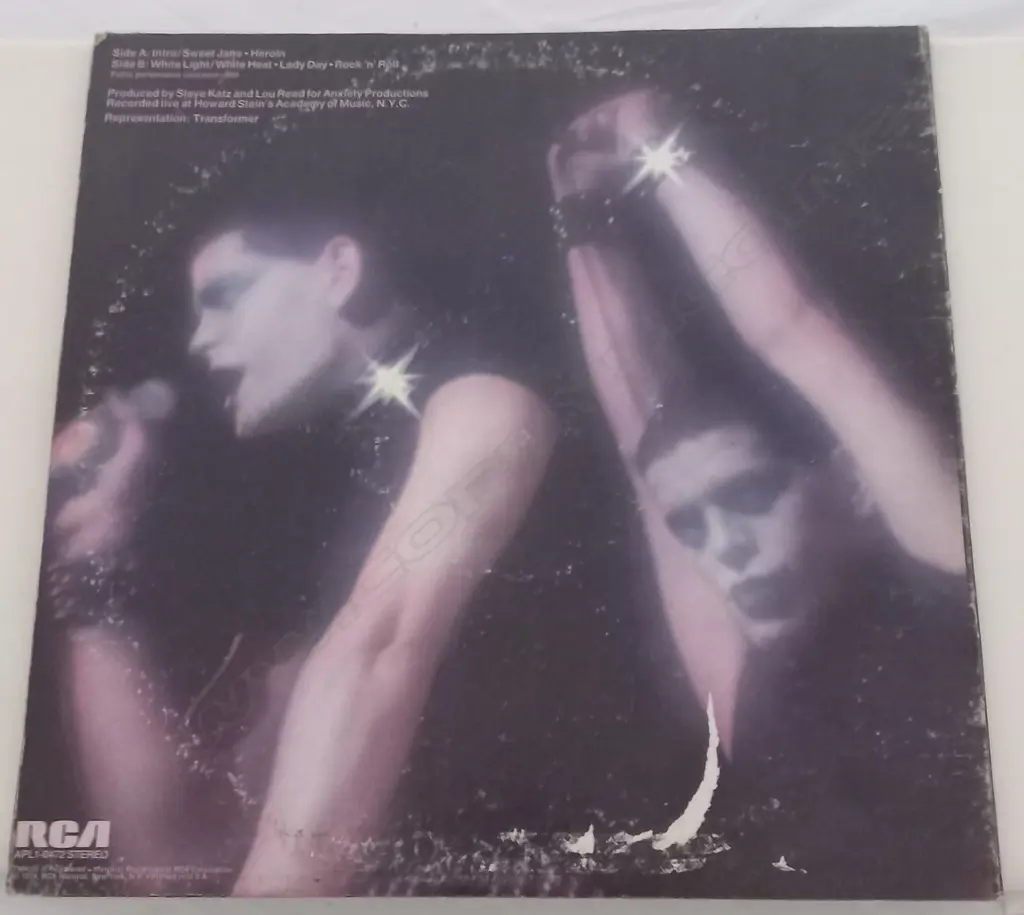 Lou Reed, Rock N Roll Animal Image 1++