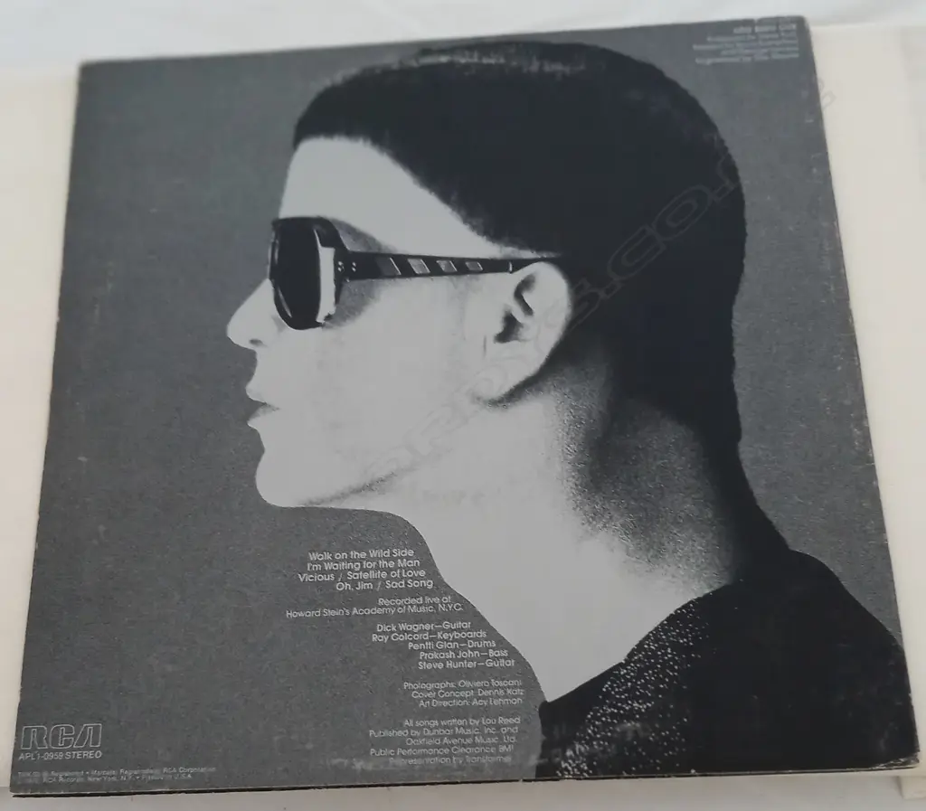 Lou Reed, Lou Reed Live Image 1++