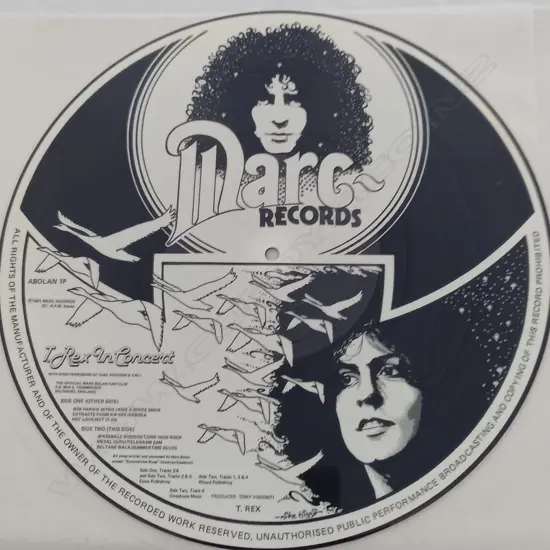 T. Rex, T. Rex In Concert