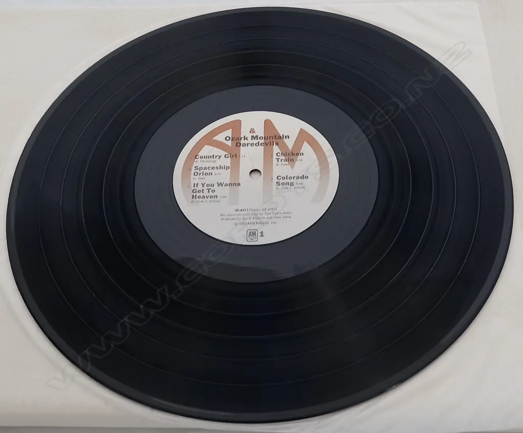 The Ozark Mountain Daredevils, The Ozark Mountain Daredevils Image 1++