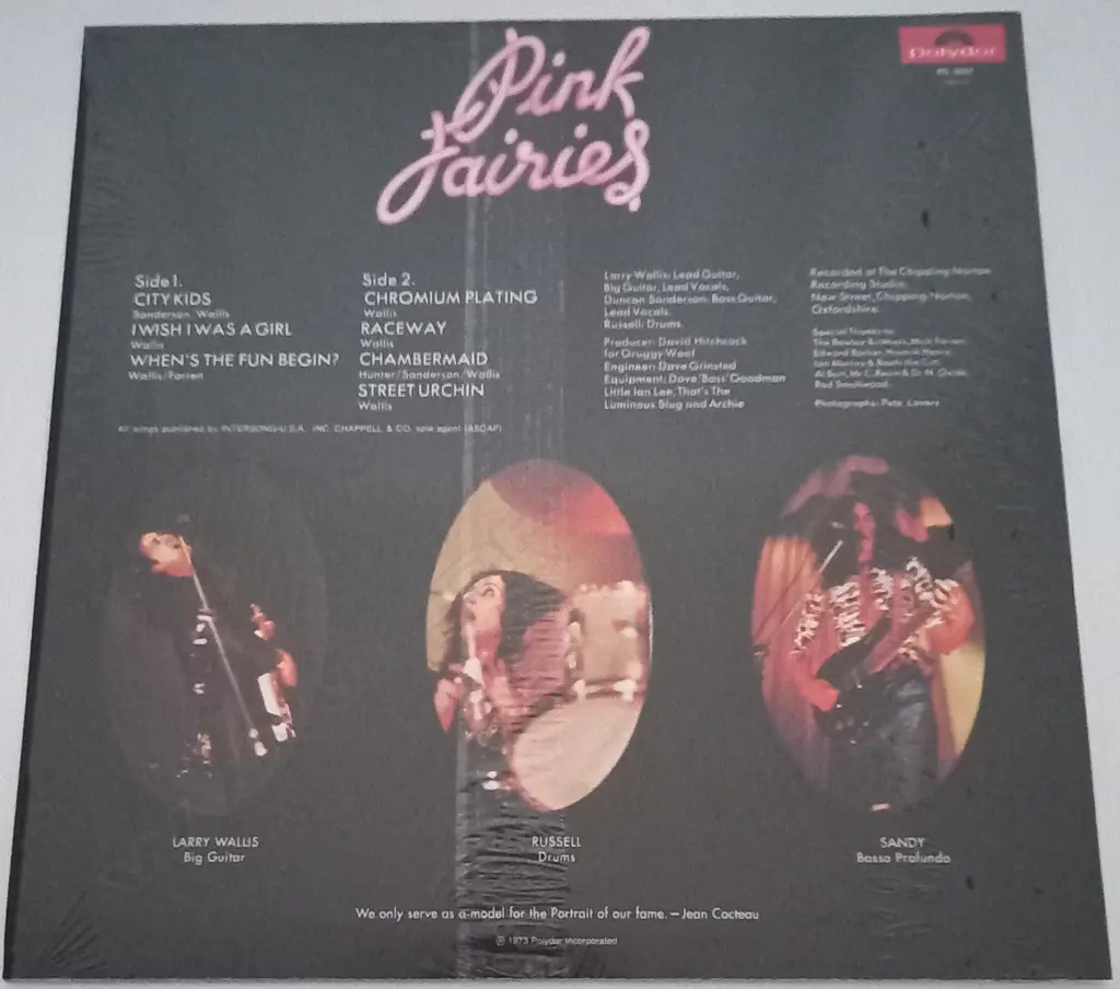 The Pink Fairies, Kings Of Oblivion Image 1++