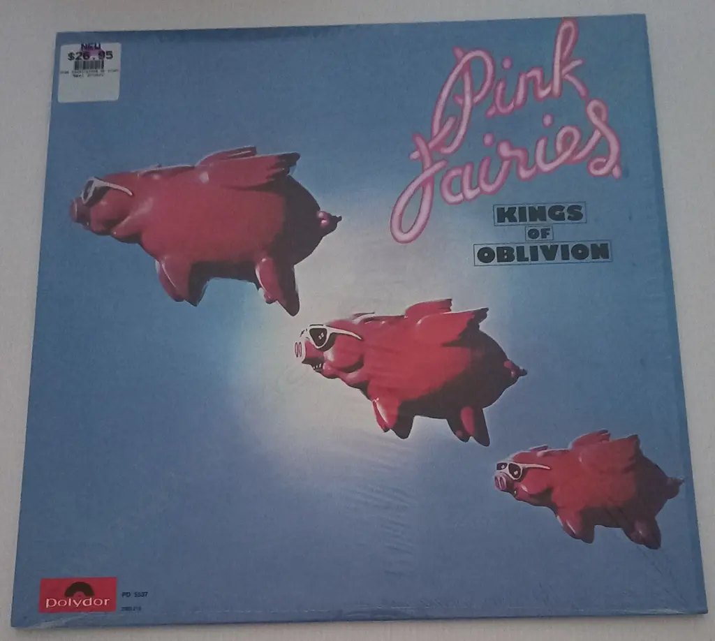 The Pink Fairies, Kings Of Oblivion Image 1++