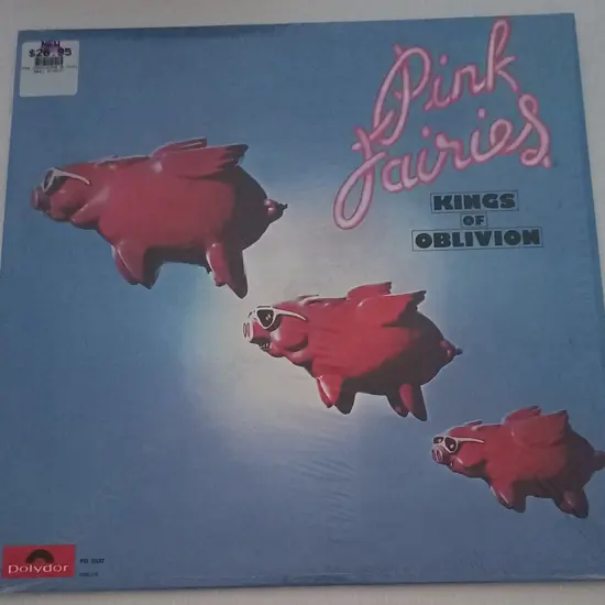 The Pink Fairies, Kings Of Oblivion