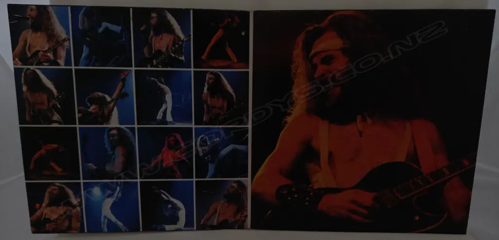 Ted Nugent, Double Live Gonzo! Image 1++