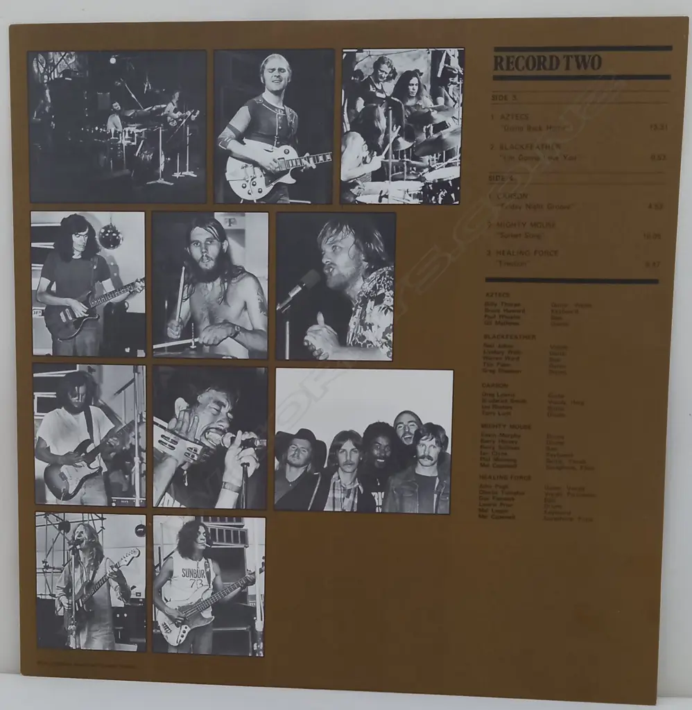 Various, The Great Australian Rock Festival, Sunbury 1973 Image 1++