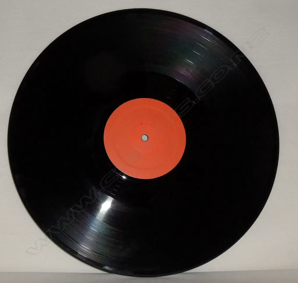 X (5), Live at Slego Image 1++