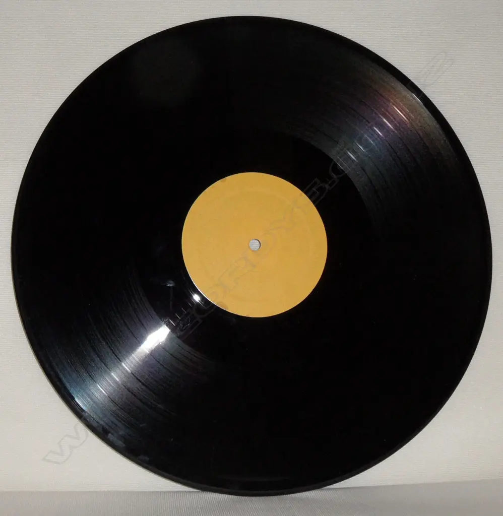 X (5), Live at Slego Image 1++