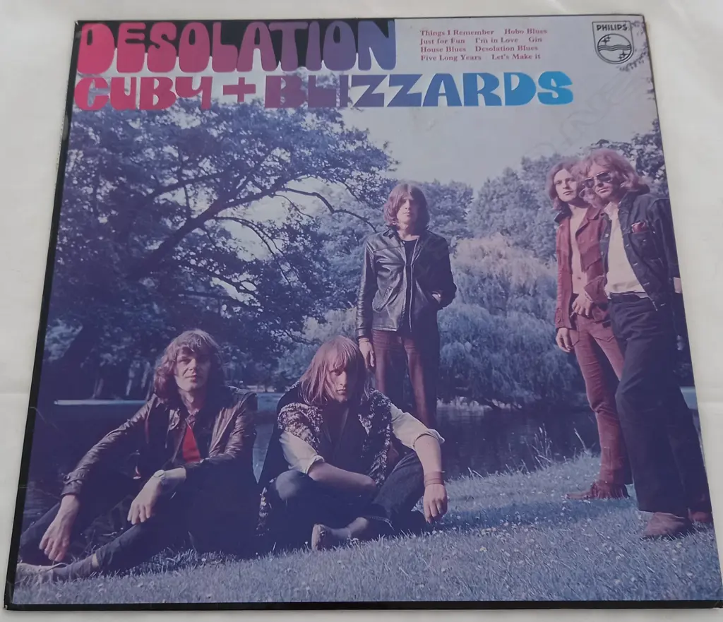 Cuby + Blizzards, Desolation Image 1++
