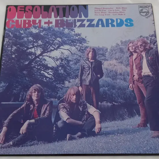 Cuby + Blizzards, Desolation