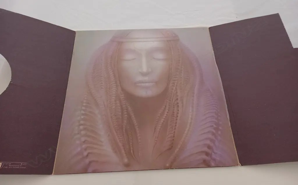 Emerson, Lake & Palmer, Brain Salad Surgery Image 1++