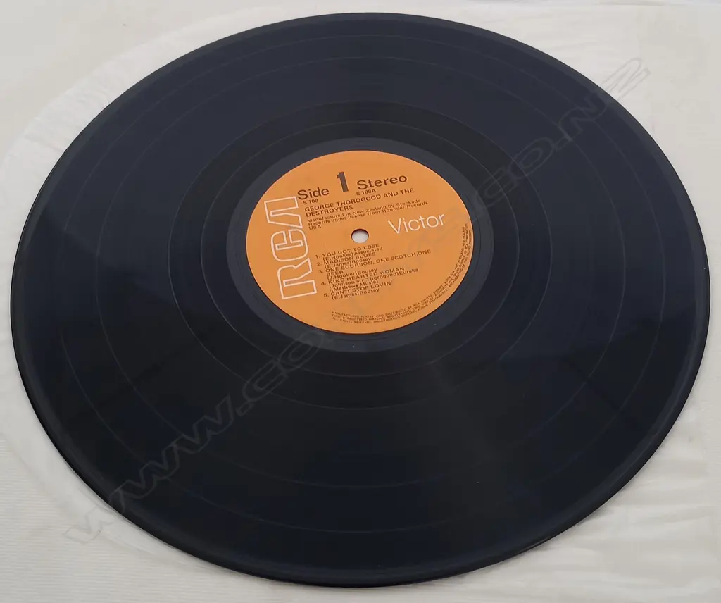 George Thorogood & The Destroyers, George Thorogood And The Destroyers Image 1++