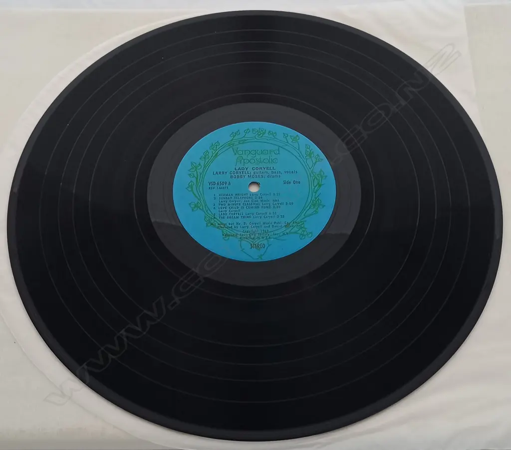 Larry Coryell, Lady Coryell Image 1++
