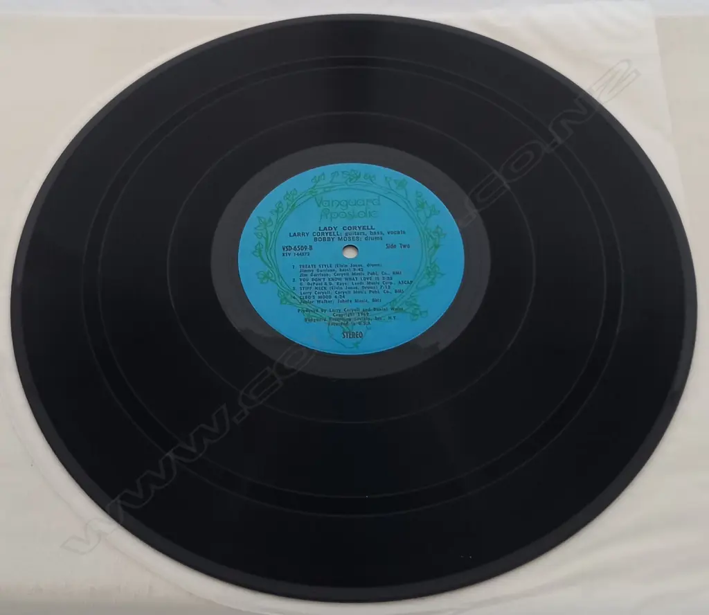 Larry Coryell, Lady Coryell Image 1++