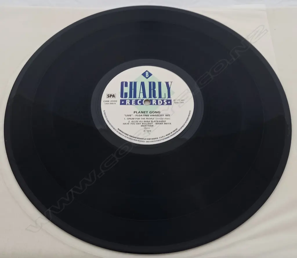 Planet Gong (2), Live Floating Anarchy 1977 Image 1++