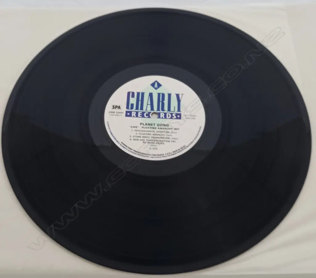 Planet Gong (2), Live Floating Anarchy 1977 Image 1++