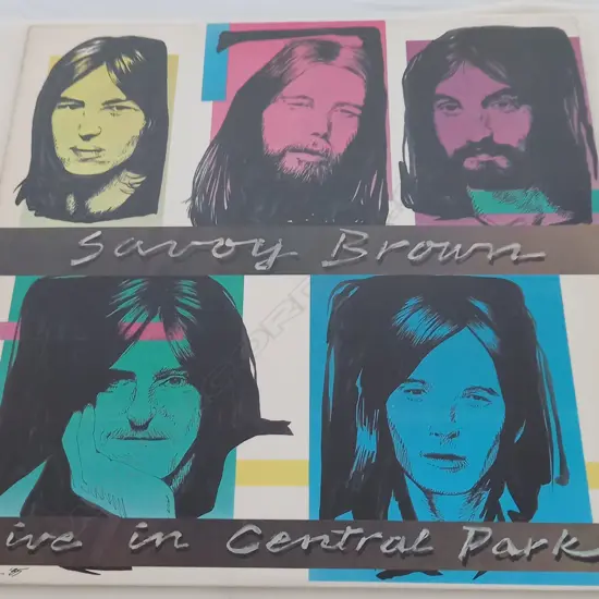 Savoy Brown, Live In Central Park