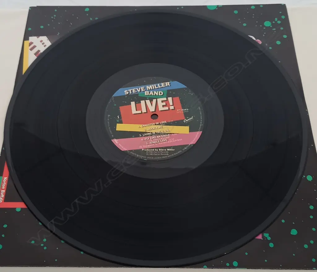 Steve Miller Band, Live Image 1++
