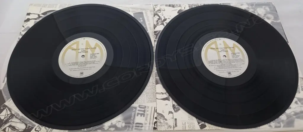 The Tubes, What Do You Want From Live Image 1++
