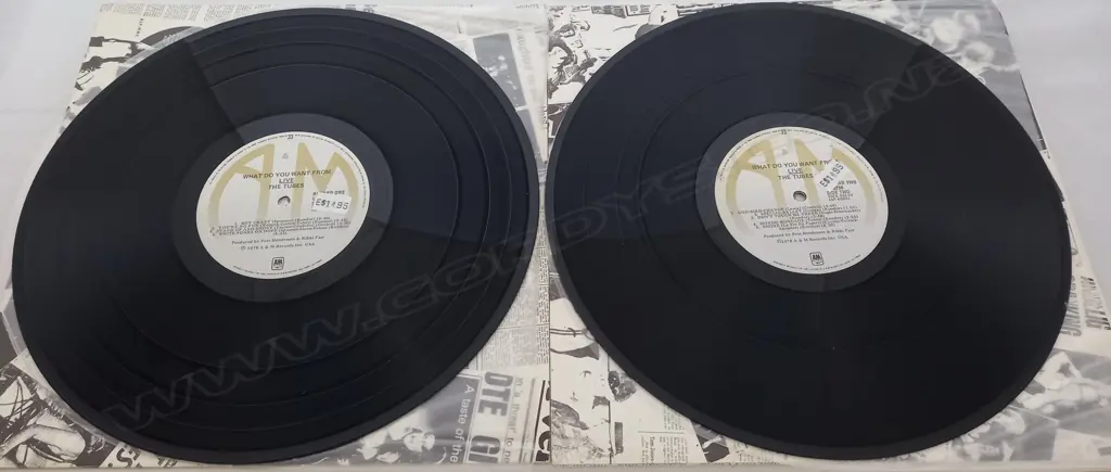The Tubes, What Do You Want From Live Image 1++