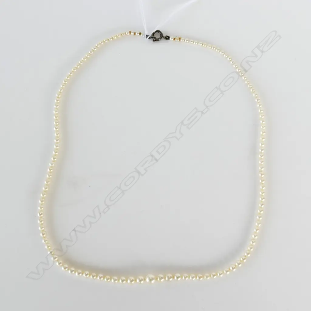 CULTURED PEARL NECKLACE (VAL) Image 1++