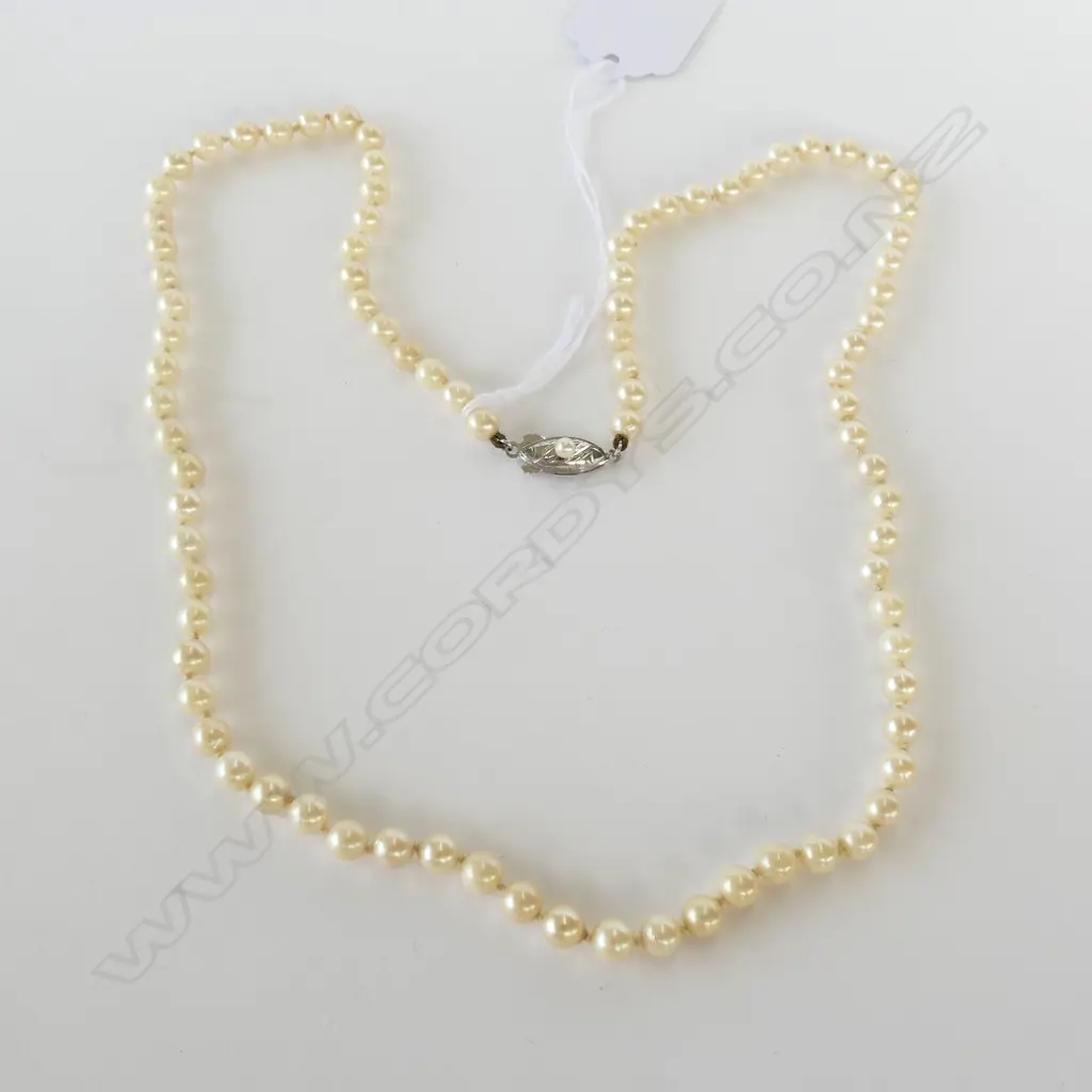 CULTURED PEARL NECKLACE (RETAIL REPLACEMENT $2200) Image 1++