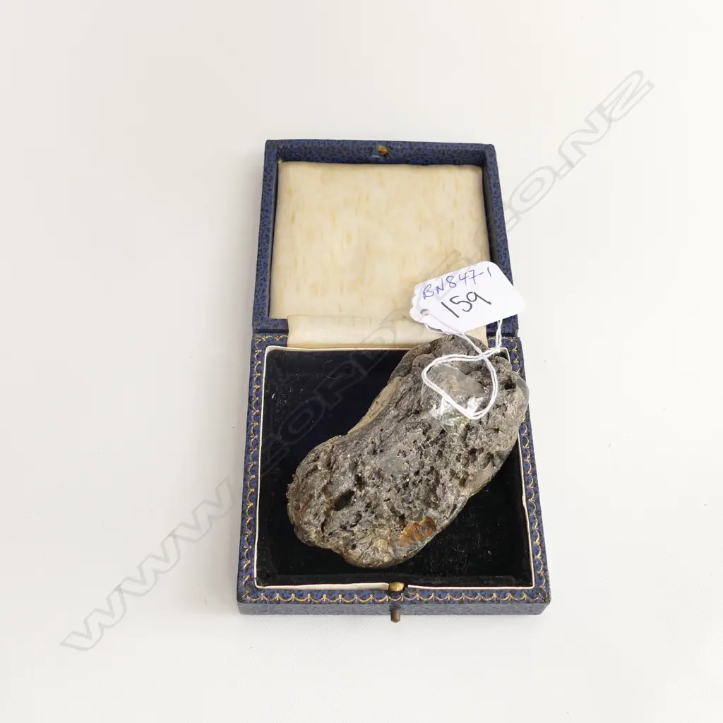 LUMP OF WHALE AMERGRIS 47.6gms Image 1++
