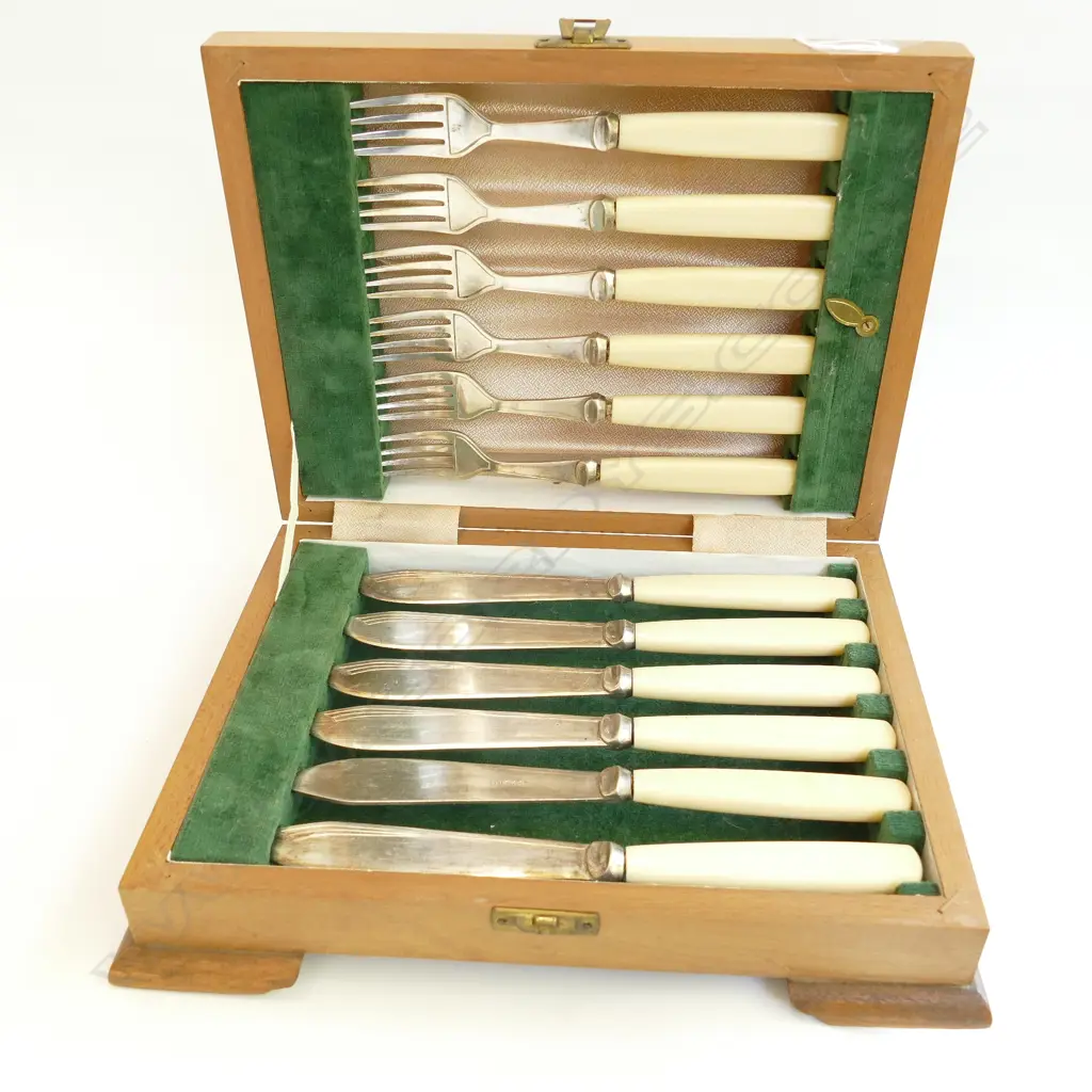 CASED FISH KNIFES AND FORKS Image 1++