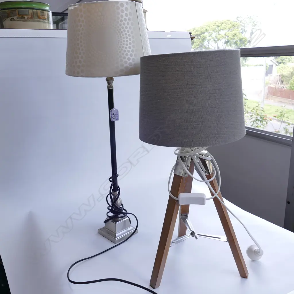 TRIPOD LAMP AND TALL METAL LAMP 650MM H Image 1++