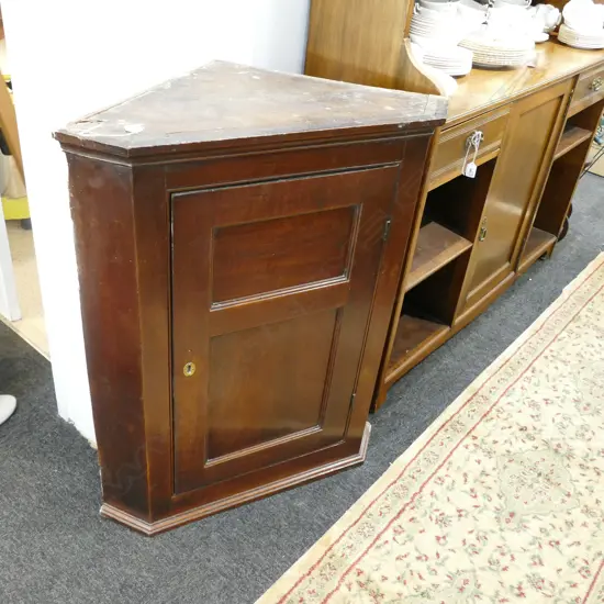 GEO.III MAHOGANY PANELLED CORNER CABINET